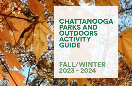 Activity Guide