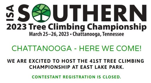 Tree Climbing