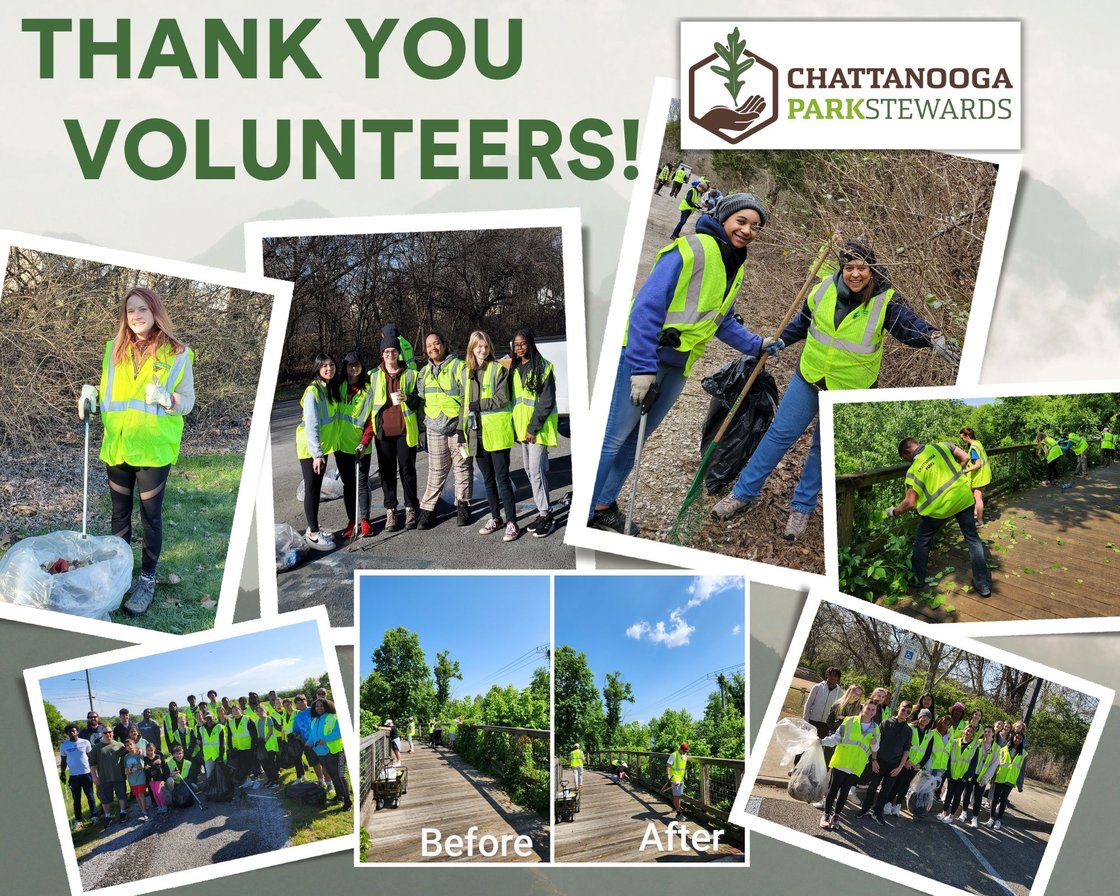 volunteer thank you